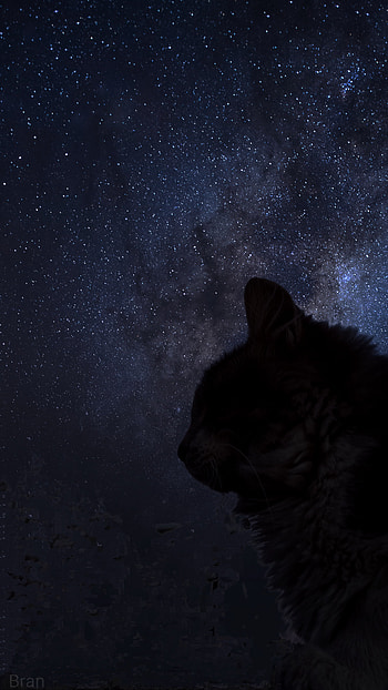 Gato galaxy, cielo, atmo, nubes HD phone wallpaper