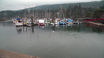 Salt Spring Island, Canada travels, Ganges centennial wharf, BC scenery HD wallpaper