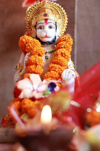 Close-up of a sacred Hanuman statue adorned with garlands, capturing spiritual essence. HD phone wallpaper