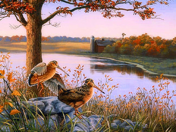 Autumn View, birds, attractions in dreams, colors, paintings, love four seasons, lakes, fields, farms, autumn, nature, fall season HD wallpaper