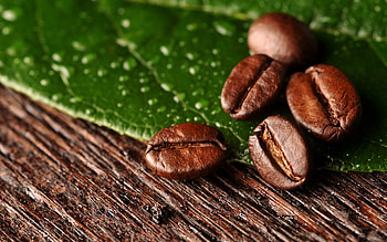 Coffee background, , Coffee HD wallpaper