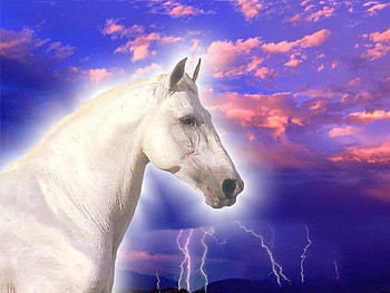 The Storm, lightning, horses, storms, rain, animals, nature HD wallpaper