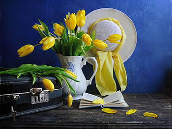 Still life, flowers, abstract, tulips HD wallpaper