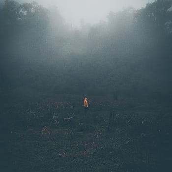 A solitary person in a hoodie roams through a foggy forest in Jawa Timur, Indonesia. HD phone wallpaper