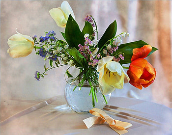 Tulips in vase, graphy, spring, forget me not, tulips, delicate, abstract, petals, grapher, art, soft, other, vase, lily, still life, yellow, red, flowers HD wallpaper
