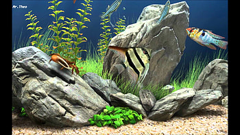 Full Size of Fish Tank Fish Tank Screensaver Windows Marine Aquarium Live fish Mac Screensavers ... HD wallpaper