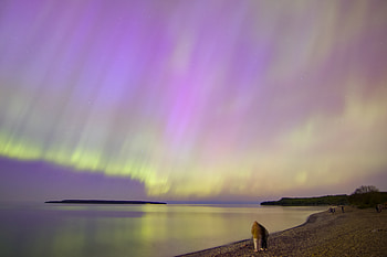 Northern Lights HD wallpaper