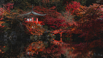 Landscape View Of Pagoda Yellow Red Green Autumn Fall Leaves Trees Park Bridge Reflection On Pond Nature HD wallpaper