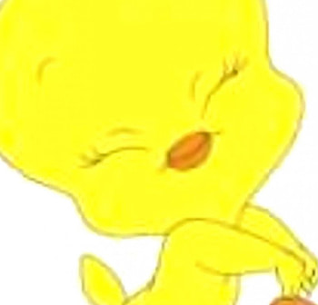 tweety bird!!, bird, yellow HD wallpaper