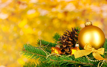 ORNAMENT, BOW, BRANCH, CONE, COLORS HD wallpaper