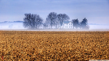 kansas farmhouse in the mist, mist, field, house, trees, farm HD wallpaper