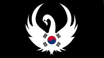 pics stunning attractive new south korea flag background HD wallpaper
