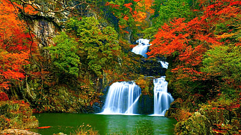 Falls Nature Waterfalls Forest Autumn Animated Waterfall - HD wallpaper