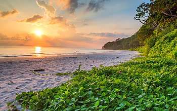 Best beaches, Havelock Andaman, Ocean attraction, Whatshot Mumbai HD wallpaper