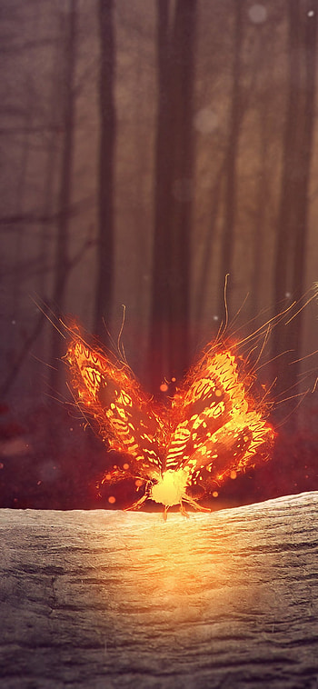 Emberwing — Butterfly ; Forest Flame ; Glowing Ember Butterfly, Animal, butterfly HD phone wallpaper