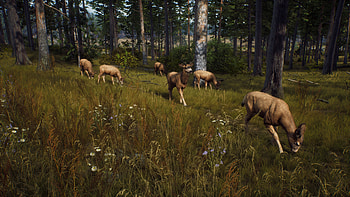 Way of the Hunter, video game, Way of the Hunter HD wallpaper