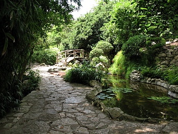 Nature, Stones, Water Lilies, Greens, Bridge, Garden, Pond, Track HD wallpaper