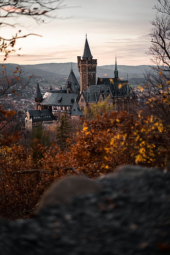A scenic view of Wernigerode Castle surrounded by autumn foliage at sunset. HD phone wallpaper