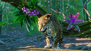 Cheetah Planet Zoo HD wallpaper