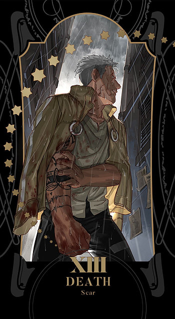 FMA XIII the death, tarot HD phone wallpaper