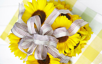 Gift, present, laze, yellow HD wallpaper