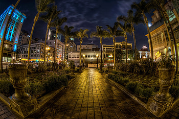 Cities, Trees, Night, Palms, Usa, United States, r, California, San Diego, Sidewalk HD wallpaper
