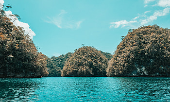Nature, Water, Trees, Coast, Islands HD wallpaper