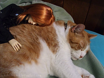 Felis Domesticus, redhead, cat, abstract, sleep HD wallpaper