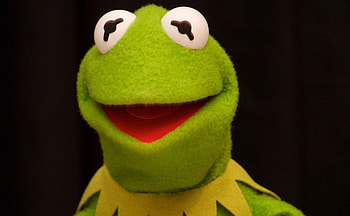 Kermit the Frog , Whimsical charm, Playful amphibian, Adorable backgrounds HD wallpaper