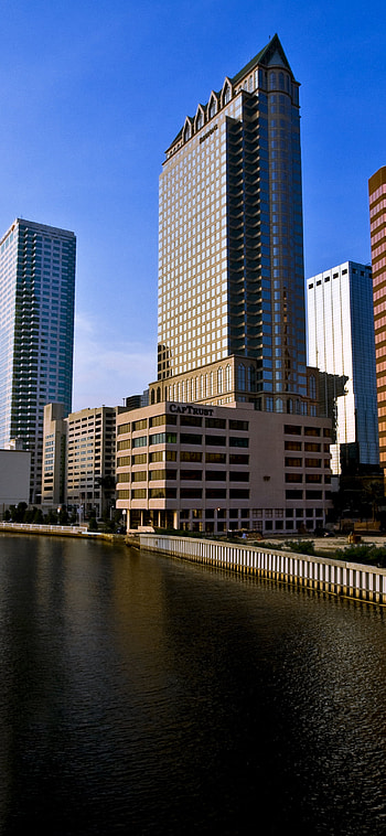 Tampa Skyline, Choose us uncategorized HD phone wallpaper