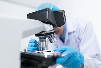 Close-up of a scientist examining samples under a microscope in a lab setting. HD wallpaper