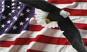HomeLife Academy, flag, hla, eagle, academic HD wallpaper