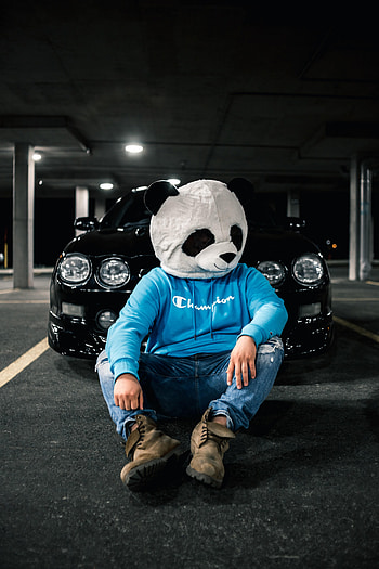 Mask, Miscellanea, Miscellaneous, Car, Human, Person, Panda HD phone wallpaper
