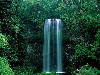 river in tha nature, fancy, paradise HD wallpaper