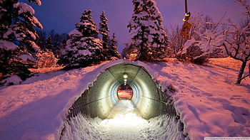 snow tunnel, winter, tunnel, lights, snow, trees HD wallpaper