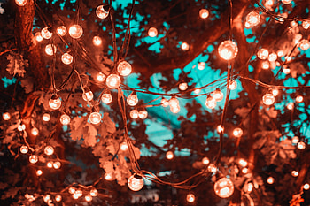 Festoons and fairy lights, Sydney and surrounds, Festive ambiance, Magical glow HD wallpaper