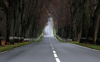 Landscape, Nature, Road, Markup, Asphalt, Descent, Climb, Lift, Intermittent HD wallpaper