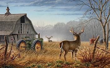 Whitetail deer screensavers - 0 HTML code. Animals Tractors Animals, Tractors, Artwork . HD wallpaper