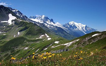 Nature, Flowers, Grass, Sky, Mountains, Snow, Vertex, Tops HD wallpaper