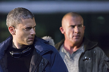 Wentworth Miller, , Celebrities HD wallpaper