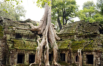 Angkor Wat, Architectural marvel, Cambodian history, Cultural heritage HD wallpaper