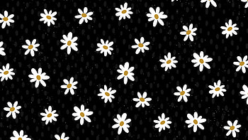 Daisy Flower Pattern Abstract , abstract, flowers, artist, artwork, digital-art, dark, black HD wallpaper