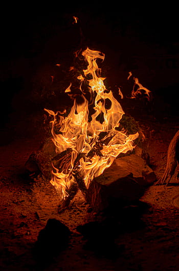 Captivating of a campfire with vibrant flames illuminating the night. HD phone wallpaper