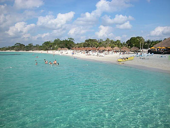 Cozumel Beach, trees, sand, ocean, beach HD wallpaper