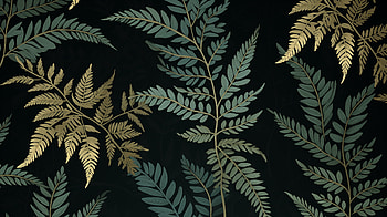 Fern Foliage Nature, nature, fern HD wallpaper