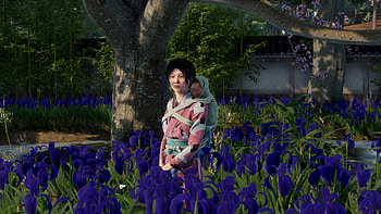 Sengoku Dynasty : Tranquil Beauty in a Floral Landscape, video game, Sengoku Dynasty HD wallpaper