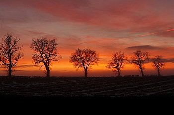 Orange Clouds, clouds, beautiful, orange HD wallpaper