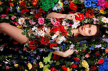 Flowers and Beauty, colorful, deligh, flowers, romantic, sensual, beauty HD wallpaper