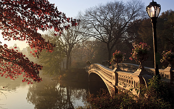 Central Park, background HD wallpaper