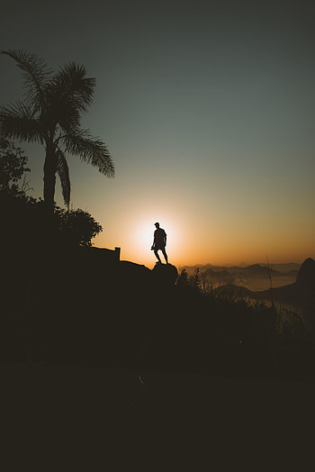 Alone, Sunset, Silhouette, Miscellanea, Miscellaneous, Palm, Loneliness, Lonely HD phone wallpaper